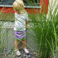 timtom No.34 Jerseyrock (Lille) [Digital] – Bild 24